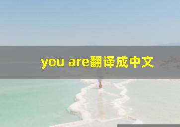 you are翻译成中文