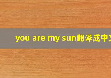 you are my sun翻译成中文