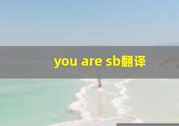 you are sb翻译