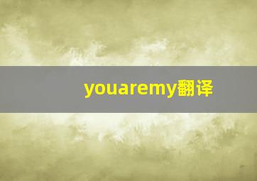 youaremy翻译