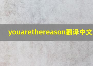 youarethereason翻译中文歌词