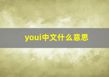 youi中文什么意思