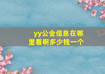 yy公会信息在哪里看啊多少钱一个