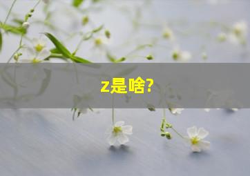 z是啥?