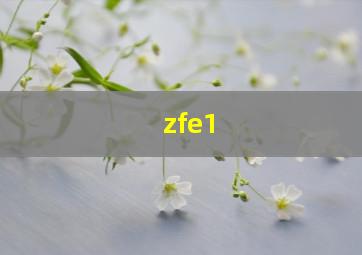 zfe1