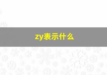 zy表示什么